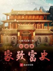 红楼发家致富史免费阅读