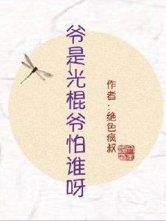 我的光棍爷爷内容