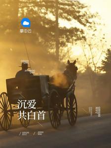 职场风云录无弹窗