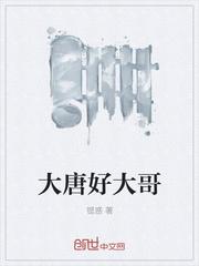 大唐好伙计 全文阅读
