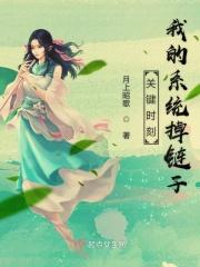 关键时刻我的系统掉链子