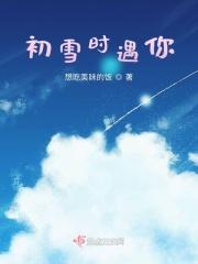 初雪时遇你