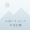 动漫大神