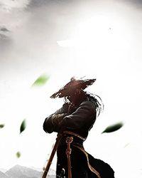 天龙八部续之风云再起