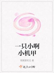 一只小啊小机甲