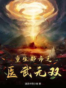 重生都市之医武无双