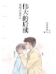 爱情公寓6之伟大的后续